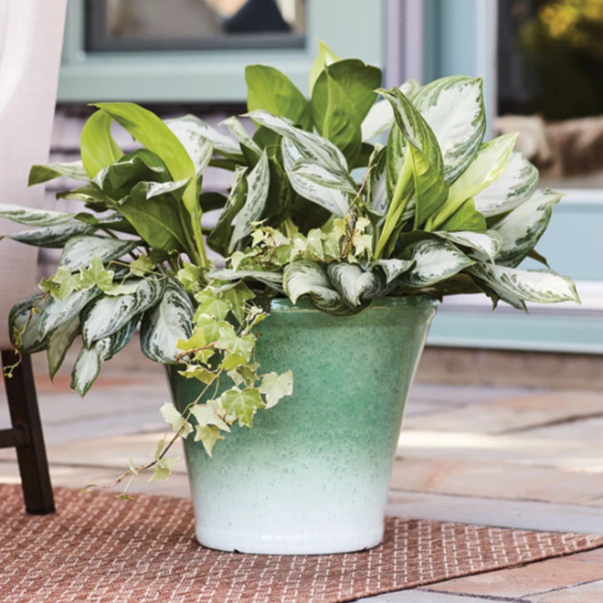 Style Selections Resin Planter - 17" - Green 4 Style Selections Resin Planter - 17" - Green - Image 2